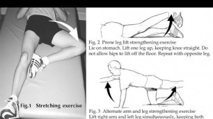 'Fitness Oriented - S.I. Joint Dysfunction: Exercises For Sacroiliac Joint Pain - Fitness Oriented'