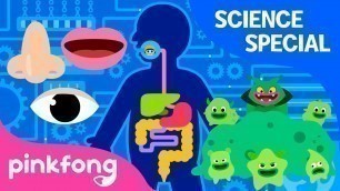 'Hospital Play and more | +Compilation | Science Songs Special | Pinkfong Songs for Children'