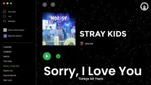 'Stray Kids - \"Sorry, I Love You\" 「 TÜRKÇE ALTYAZILI 」'