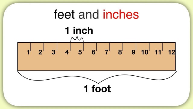 'Measurement (Feet and Inches)'