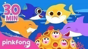 'Baby Shark More and More! | Best Baby Shark Songs ONLY | Pinkfong Songs for Kids'