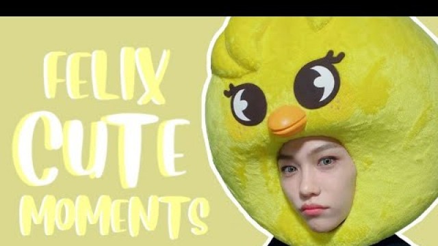 'Felix cute moments'