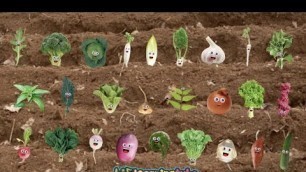 'The Vegetable Song'
