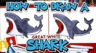 'How To Draw A Great White Shark Cartoon'