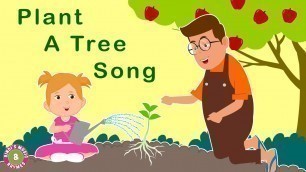 'Plant a Tree Song | Nursery Rhymes | Kids Songs | Bindi\'s Music & Rhymes'