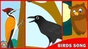 'Birds Song | Learn about birds | Toddler Series | Kids song by Bindi\'s Music & Rhymes'