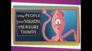 'How People (And Squids) Measure Things'