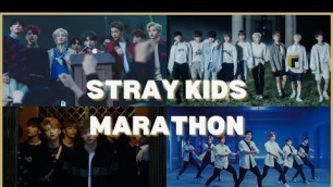 'BABY STAY REACTS TO | Stray Kids - \"Miroh\" + \"Side Effects\" + \"Hellevator\" + \"Easy\" REACTION!'