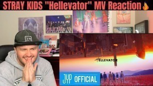 'STRAY KIDS - \"Hellevator\" MV Reaction! (Half Korean Reacts)'