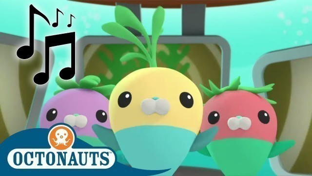 'Octonauts - Fish Music | Songs | Cartoons for Kids | Underwater Sea Education'