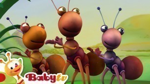 'Big Bugs Band | Traditional African Music for Kids | BabyTV'