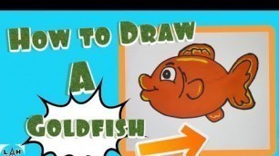 'How to Draw a Goldfish | Learn How to Draw Hub'