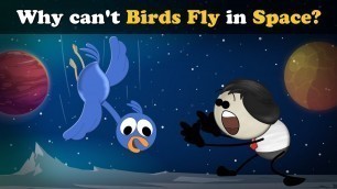 'Why can\'t Birds Fly in Space? + more videos | #aumsum #kids #science #education #children'