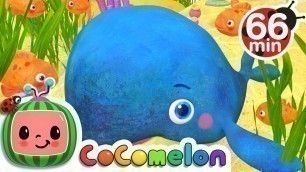 'Baby Blue Whale Song + More Nursery Rhymes & Kids Songs - CoComelon'
