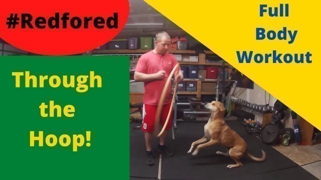 'Kids Full Body Workout (No Equipment Needed) Fitness'