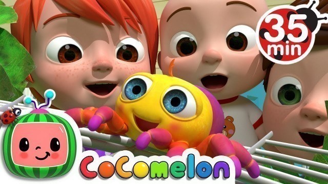 'Itsy Bitsy Spider + More Nursery Rhymes & Kids Songs - CoComelon'