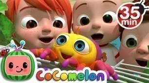 'Itsy Bitsy Spider + More Nursery Rhymes & Kids Songs - CoComelon'