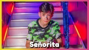 'Señorita - Shawn Mendes, Camila Cabello [Official Music Video] | Mini Pop Kids'