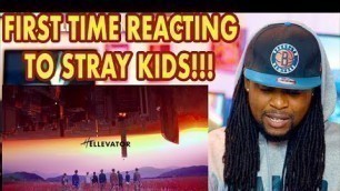 'Stray Kids | Hellevator | FIRST TIME REACTION!!! | MV'
