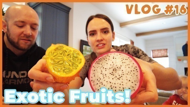 'Exotic Fruits Taste Testing - Kids Try Food - Fisco Frenzy VLOG #16'