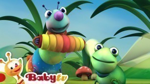 'Big Bugs Band | Classical Music for Kids | BabyTV'