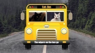 'Cats SIng Wheels on the Bus | + More Nursery Rhymes & Kids Songs - Cats Version'