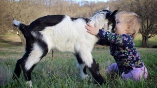 Cutest Kids and Animals Compilation 2020 THE BEST Adorable Baby and Animal Videos