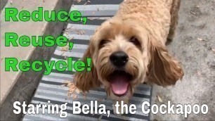'Reduce, Reuse, Recycle, a song to celebrate THE EARTH, by Glenn Colton & Bella the Cockapoo'