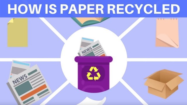 'How is Paper Recycled? Waste Paper Recycling Process | Recyling for kids | Paper Recycling for kids'