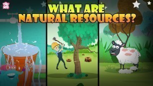 'What Are Natural Resources? | Types Of Natural Resources | The Dr Binocs Show | Peekaboo Kidz'