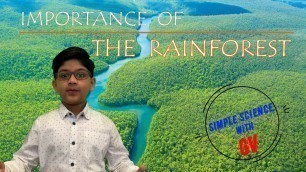 'Why are RAINFORESTS important ? | Education #rainforest  #forest #naturalresources  #kids'