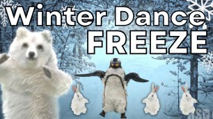 'Winter Dance Freeze - Brain Break Movement Workout Game'