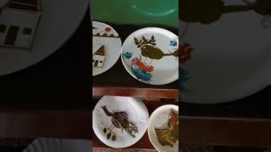 'Kids Decoration of plates with Natural Resources'