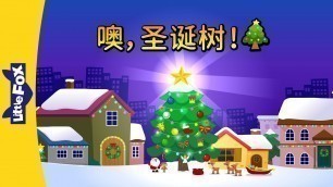 'O, Christmas Tree! (噢，圣诞树！) | Holidays | Chinese song | By Little Fox'