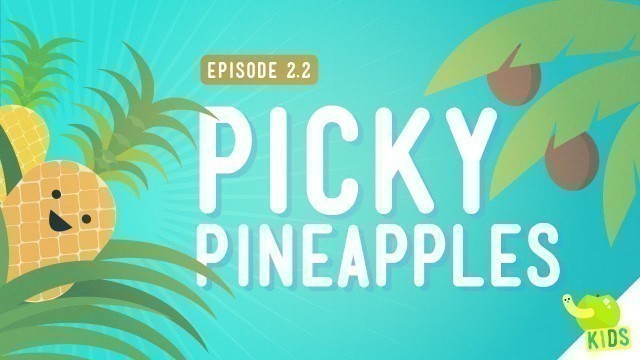 'How to Get Resources - Picky Pineapples: Crash Course Kids #2.2'