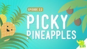 'How to Get Resources - Picky Pineapples: Crash Course Kids #2.2'