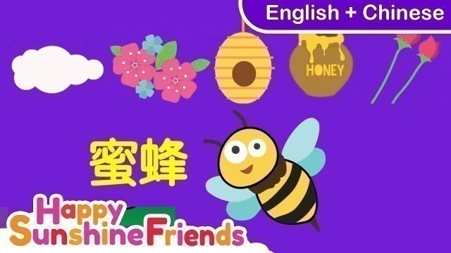 'Bum Bee Bee Kids song | Chinese for Kids | 蜜蜂儿歌 | (English +中文版)'