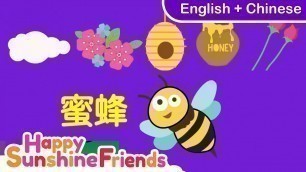 'Bum Bee Bee Kids song | Chinese for Kids | 蜜蜂儿歌 | (English +中文版)'