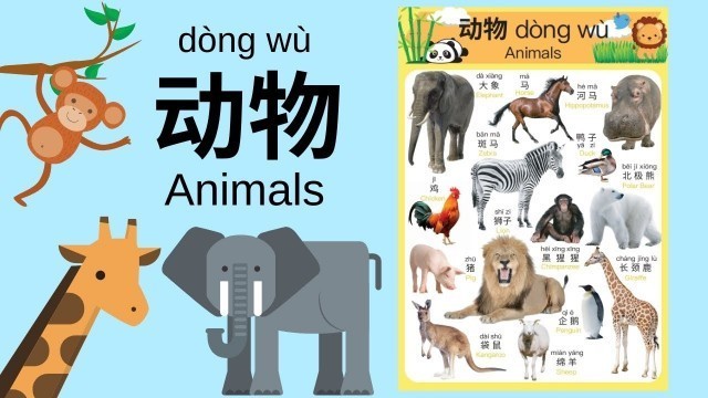 'Learn Different Animals in Mandarin Chinese for Toddlers, Kids & Beginners | 动物'