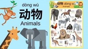 'Learn Different Animals in Mandarin Chinese for Toddlers, Kids & Beginners | 动物'