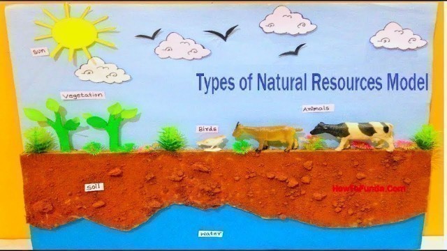 'Types of Natural Resources Model Making | DIY | science project  | HowToFunda'