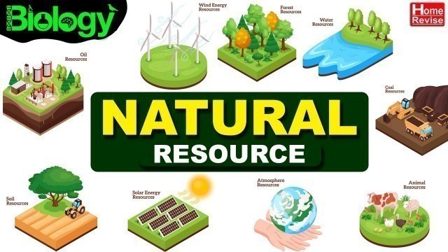 'Natural Resource | Types of Natural Resources | Renewable & Non-Renewable Resources'