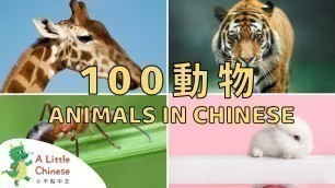'100 Animals in Chinese | 一百種動物的中文名稱 | Educational Video For Kids to Learn Chinese'