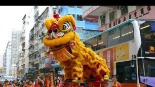 'Chinese New Year 2019 Lion Dance, Hong Kong'