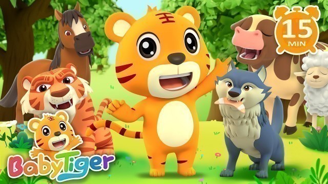 'Animals Songs | Kids Songs | Nursery Rhymes | Songs for Kids | Baby Tiger'