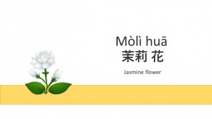 'Moli Hua - Mandarin Chinese Kid Song Nursery Rhymes lyrics'