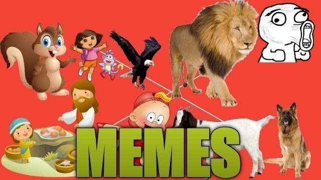 Meme | Cartoon Funny Kids And All other Interesting of Entertainment Many More Funny