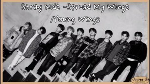 'Stray Kids (스틐레이 키즈) Spread My Wings / Young Wings Easy Lyrics'