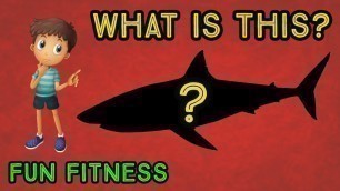 'What Is This? WORKOUT - At Home Fitness Fun for Kids and Family  - Physical Education'