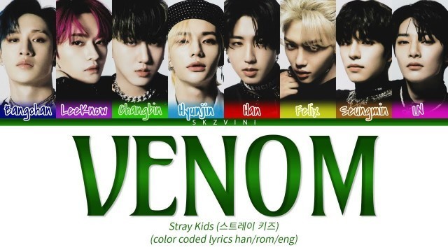 'Stray Kids \'거미줄 VENOM\' Color Coded Lyrics (Han/Rom/Eng)'